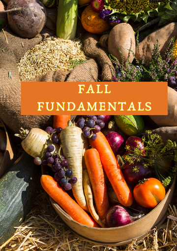 Fall Fundamentals