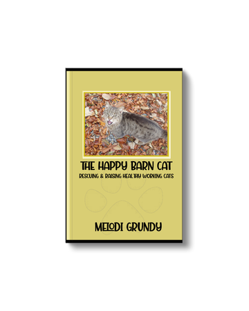 The Happy Barn Cat