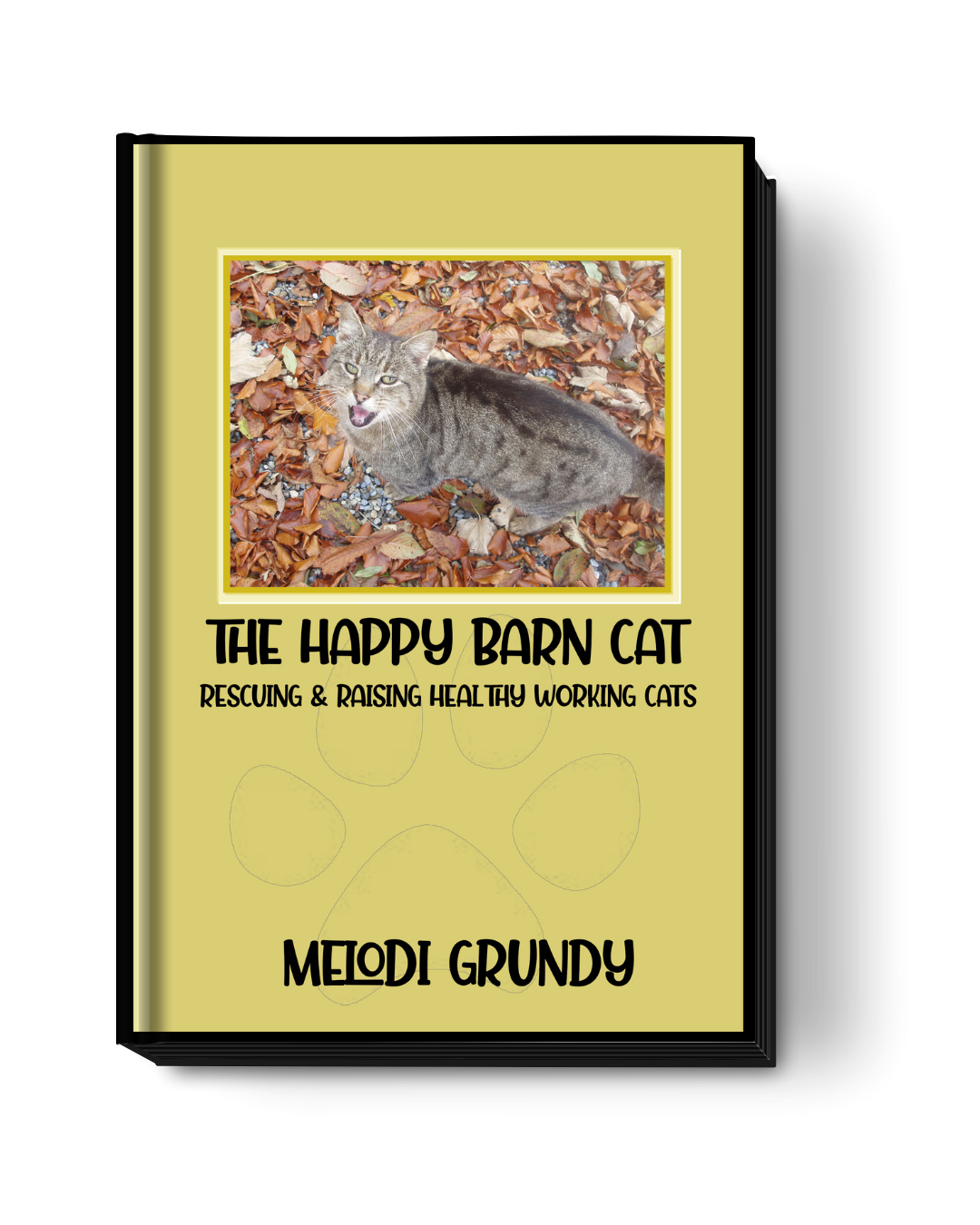 The Happy Barn Cat