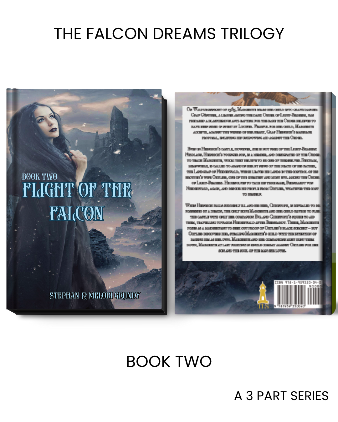 Flight of the Falcon