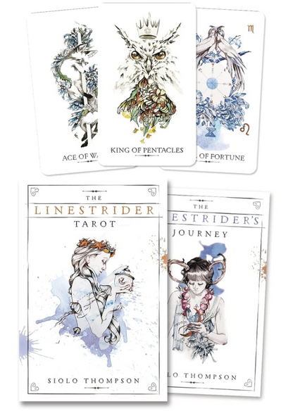 Line Strider Box Tarot