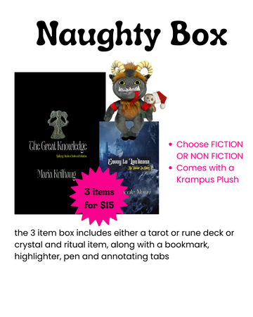 Naughty or Nice Box